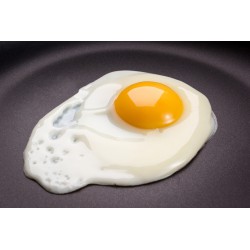 An Extra Egg